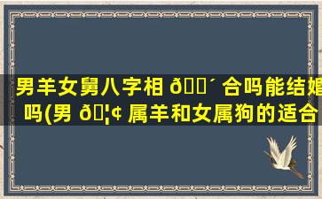 男羊女舅八字相 🌴 合吗能结婚吗(男 🦢 属羊和女属狗的适合做夫妻吗)